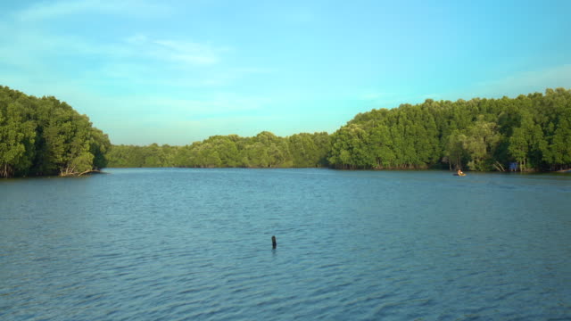 Mangroves-forest-at-Chanthaburi,-Thailand
