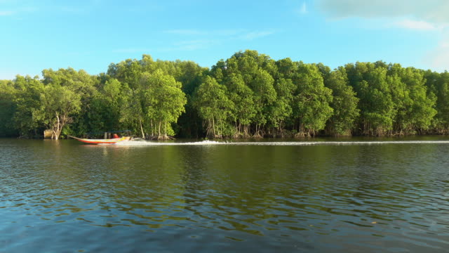 Mangroves-forest-at-Chanthaburi,-Thailand