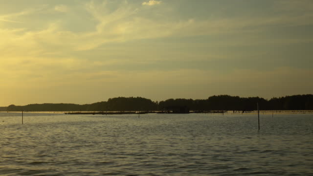Natürliche-Sonnenuntergang-über-Mangroven-Wald-an-Mündung-in-Thailand