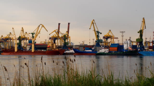 Port-cranes-move-cargo