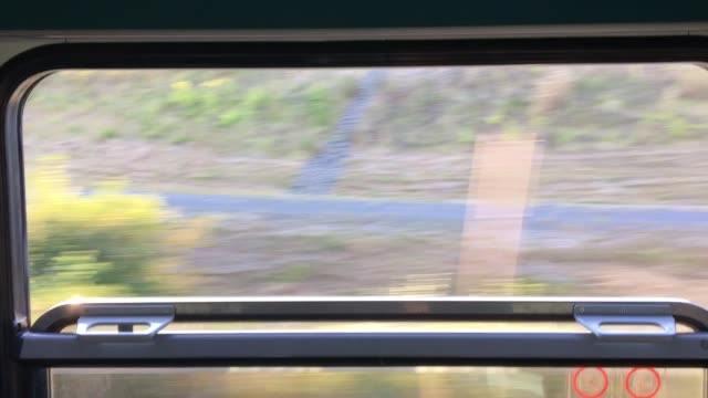 Filmen-aus-der-geöffneten-Fenster-des-Fahrens-Zug-durch-schöne-Landschaft-im-Sommer