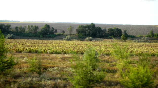 Campos-agrícolas.