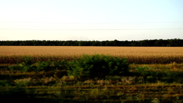 Agricultural-fields.-Shooting-in-the-movement.
