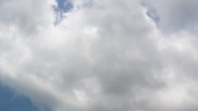 Dramatische-Atmosphäre-Panorama-4K-Zeitraffer-Footage-Clips-des-blauen-Himmels-und-Gewitterwolken-auf-tropischen-Saison.
