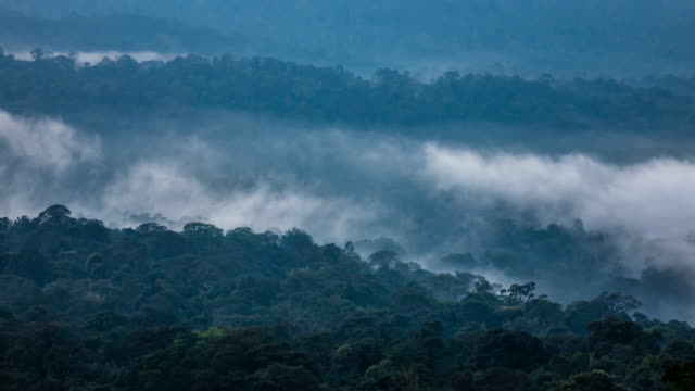 Nebel-der-Zeit-verfallen-im-Regenwald-Khao-Yai,-Thailand