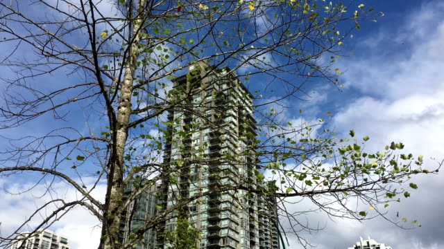 Motion-of-high-rise-building-and-blowing-tree-leaf-against-blue-cloudy-sky