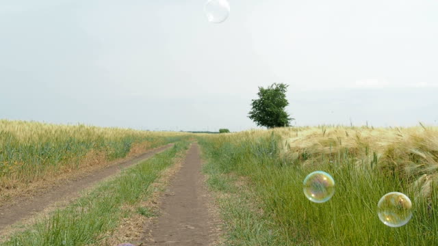 Seifenblasen-auf-einem-Weizenfeld.