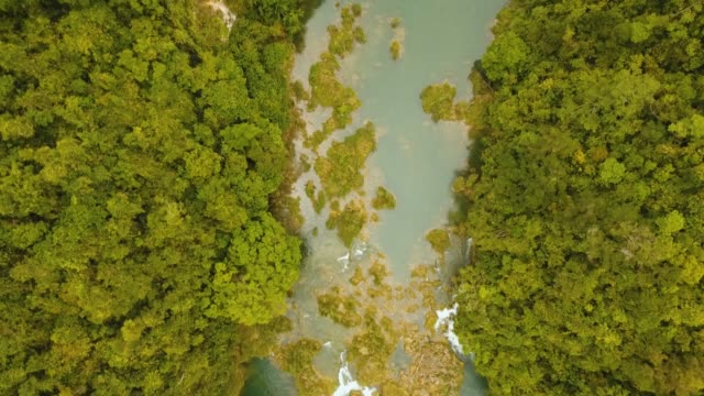 River-in-rainforest-Philippines,-Bohol
