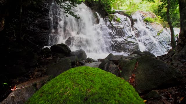 Wasserfall-im-Wald
