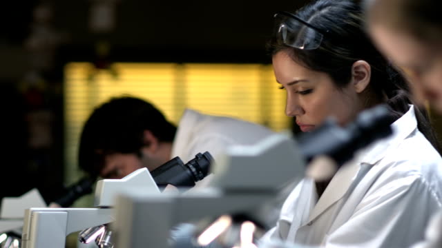 Los-estudiantes-universitarios-en-un-laboratorio-de-mirar-a-través-de-un-microscopio-durante-su-experimento