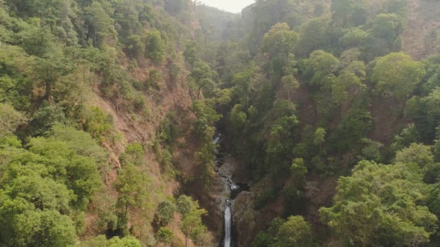 tropische-Landschaft-Regenwald-und-Wasserfall