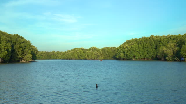 Mangroven-Wald-in-Chanthaburi,-Thailand