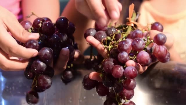 Trauben-nach-Hause-Wein-Obstverarbeitung-Obst-vom-Stamm-entfernen