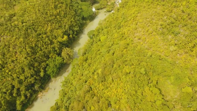 Fluss-im-Regenwald-Philippinen,-Bohol