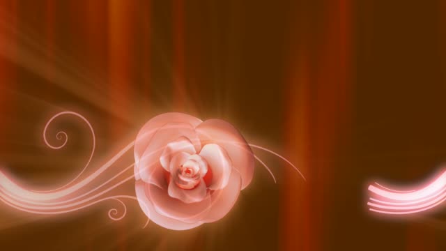 smooth-fade-in-fade-out-abstract-rose-background