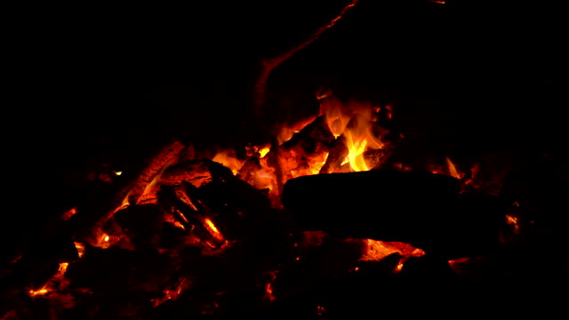 campfire-camp-fire-summer-burning-fire-campfire-in-FullHD