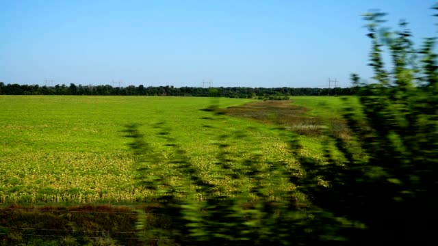 Landwirtschaftliches-Gebiet.