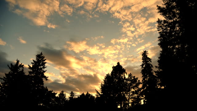 Sunset-to-dark-clouds-over-trees-time-lapse