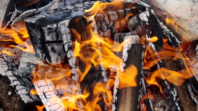 Burning-firewood-of-bonfire