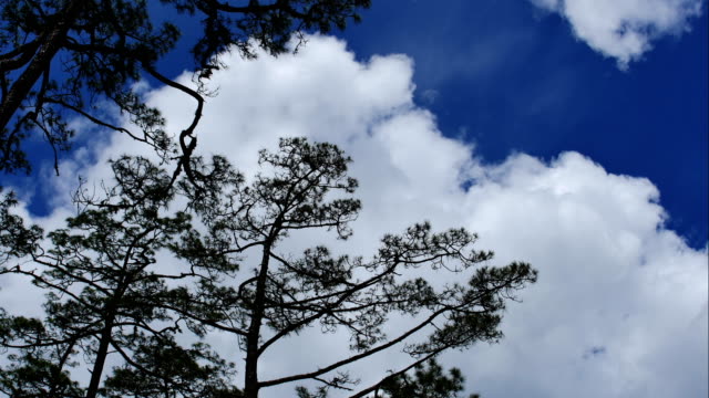 Time-Lapse-of-White-flauschige-Wolken-im-blauen-Himmelshintergrund