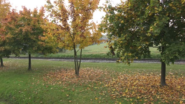 Árboles-en-otoño.-Árboles-de-otoño-y-las-hojas.-Ferrocarril-en-el-parque.