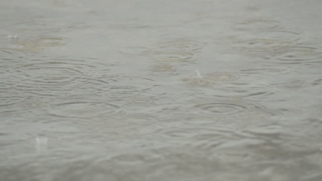 Raindrops-falling-in-a-rain-puddle-a-raining-day