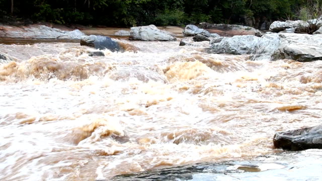 Kopf-Stream-in-den-Regenwald,-Chiangmai-Thailand