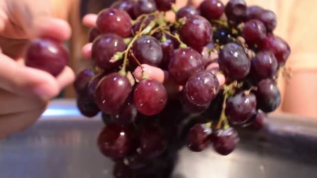 Grape-fruit-home-wine-processing-removing-fruit-from-stem