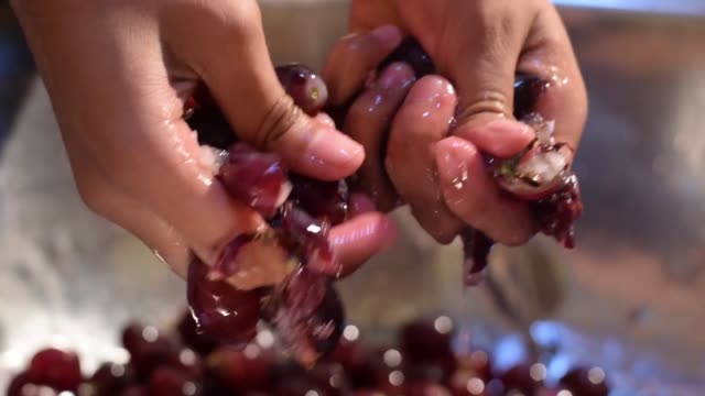 Procesamiento-de-vino-casa-uva-fruta-retirar-la-fruta-del-tallo
