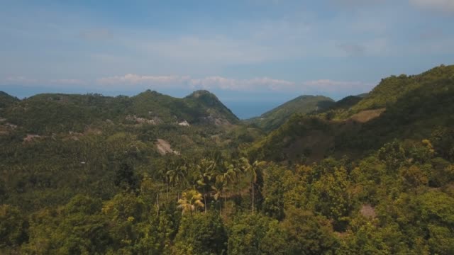 Paisaje-tropical-con-palmeras.-Filipinas