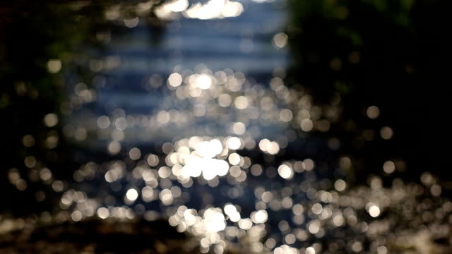 sun-glare-on-the-surface-of-the-forest-lake.-in-the-blur-of-bokeh.