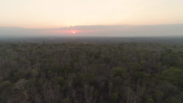 Sonnenuntergang-über-der-Savanne