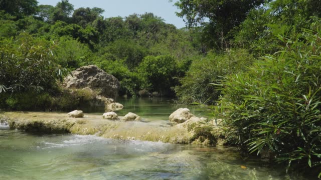 Río-en-la-selva