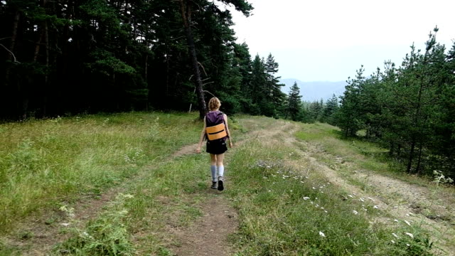 Woman-tourist-with-a-backpack-walks-with-a-backpack-in-a-national-park-in-the-forest-in-the-summer,-slow-motion
