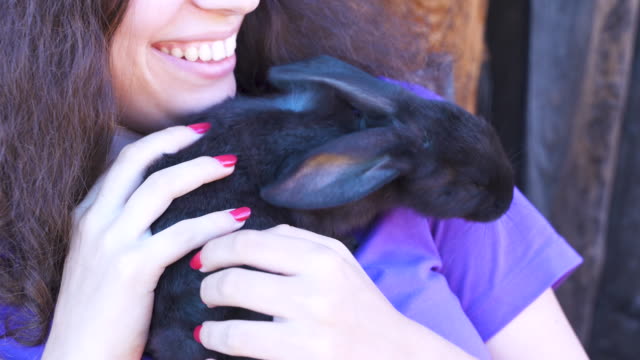 Concept-cute-beautiful-animals.-Bunny-in-the-hands-of-a-teenage-girl.-Livestock-and-farming,-rabbit-farm,-children-and-animals,-summer-vacation.-Contact-with-bunny-and-pets.-Close-up.