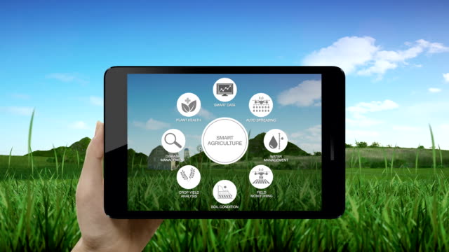 Intelligente-Landwirtschaft-Smart-Farming,-grafische-Symbol-"Informationen"-in-smart-Pad,-Tablet,-Internet-der-Dinge.-4.-industrielle-revolution.1.