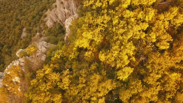 aerial-drone-flight-over-the-mountain-cliff-edge-high-above-with-sunset-massive-forest