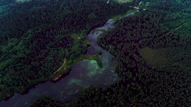 See-mit-türkisfarbenem-Wasser-und-grünen-Bäumen.-Landschaft-mit-Flüssen,-Wald,-See