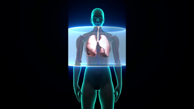 Cuerpo-de-escaneo.-Pulmones-de-mujer-humana-giratoria,-Diagnóstico-Pulmonar.