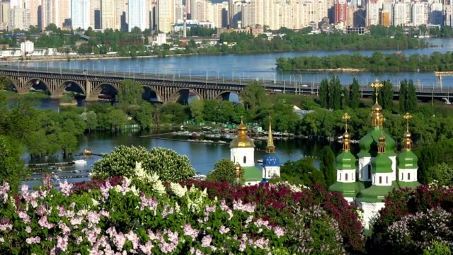Flor-de-lilas-en-el-jardín-botánico-de-Kiev