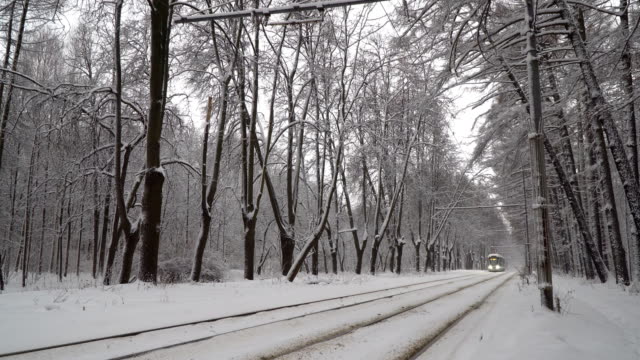 fahren-Sie-mit-der-modernen-Straßenbahn-durch-den-Winter-Park