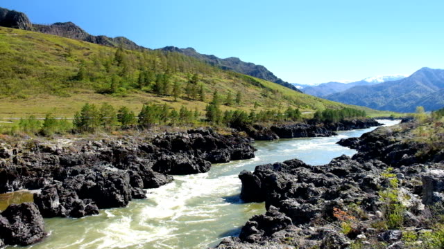 Teldykpen-rápidos-en-Altai-río-Katun-cerca-lila-amarillo,-Rusia