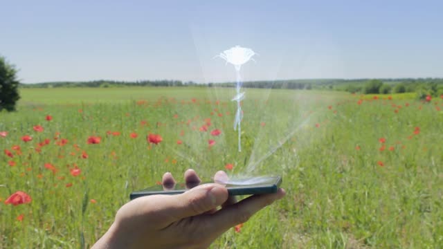 Hologramm-von-Rosenblume-auf-einem-Smartphone