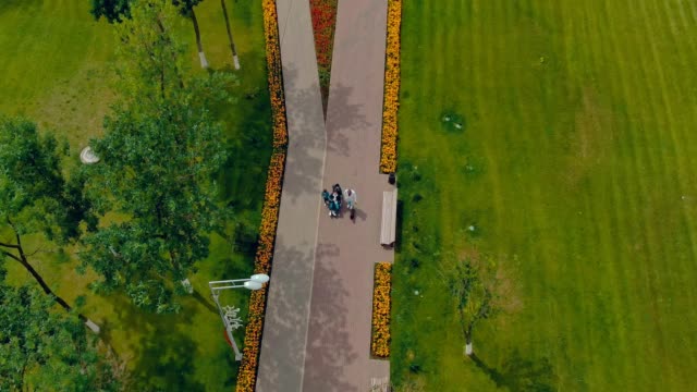 Guy-in-a-wheelchair-walks-with-his-family,-family-support.-Aerial-view-video-from-copter.-Top-view.