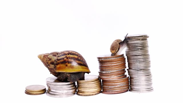 Two-snail-climbing-pile-of-coins-on-white-background
