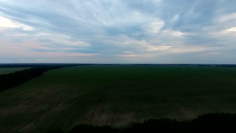 Toma-aérea-sobre-campo-verde-grande-y-árboles.