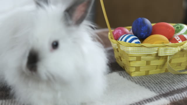 Conejo-blanco-con-una-cesta-de-huevos-de-Pascua.