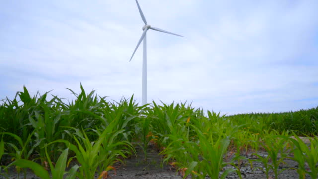 Wind-turbine-landscape-with-dry-land-and-green-field.-Global-warming-concept