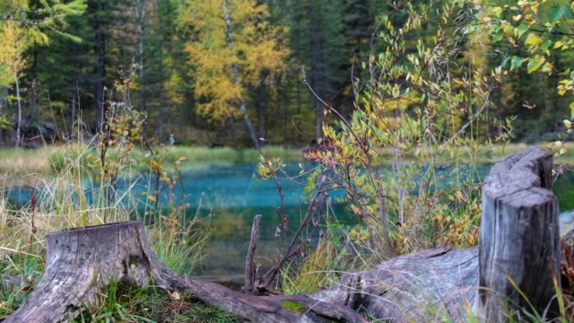 Panorama-del-lago-azul-Geyser-en-montañas-de-Altai