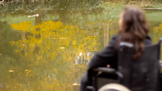 Behinderung,-Traurigkeit,-Einsamkeit---Hände-einer-Rollstuhl-Frau-Betrachtung-der-Natur
